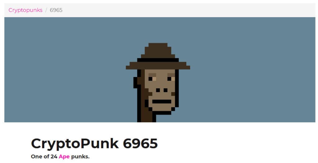 (Screen Grab: LavaLabs.com)