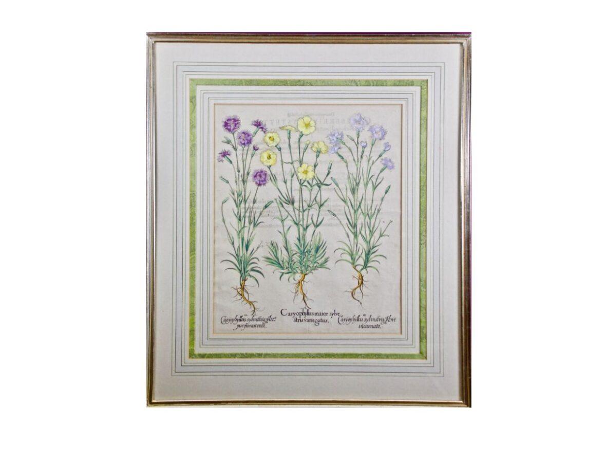 Basilius Besler Cottage Flowers 1st Dibs