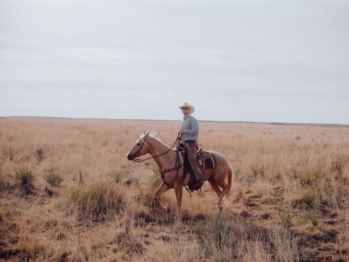 Honor Horses Unsplash