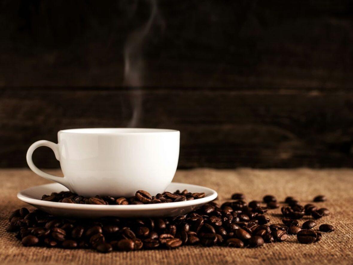 Kopi Luwak Unsplash