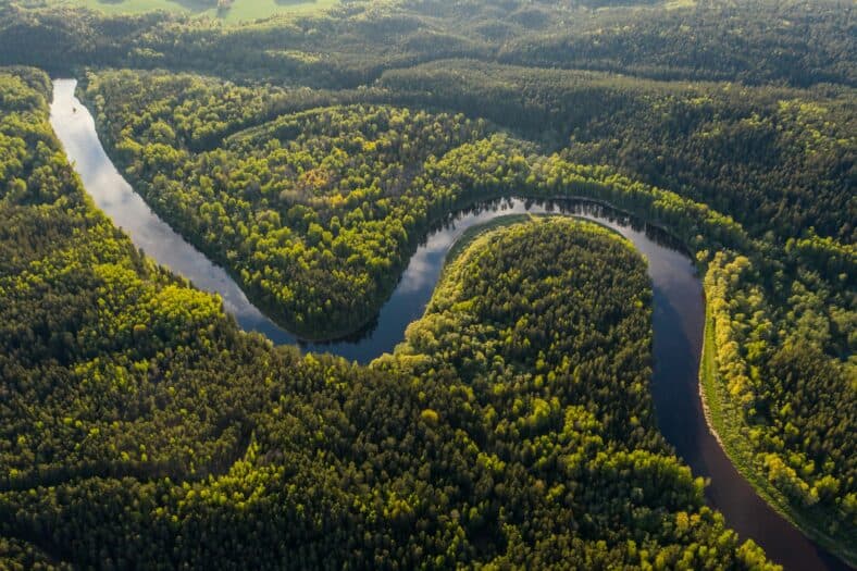 amazon river