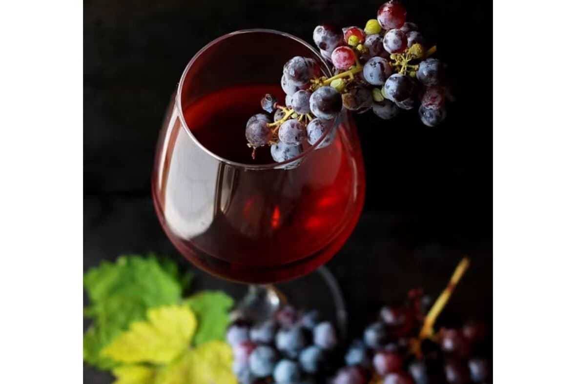 Grape Bricks