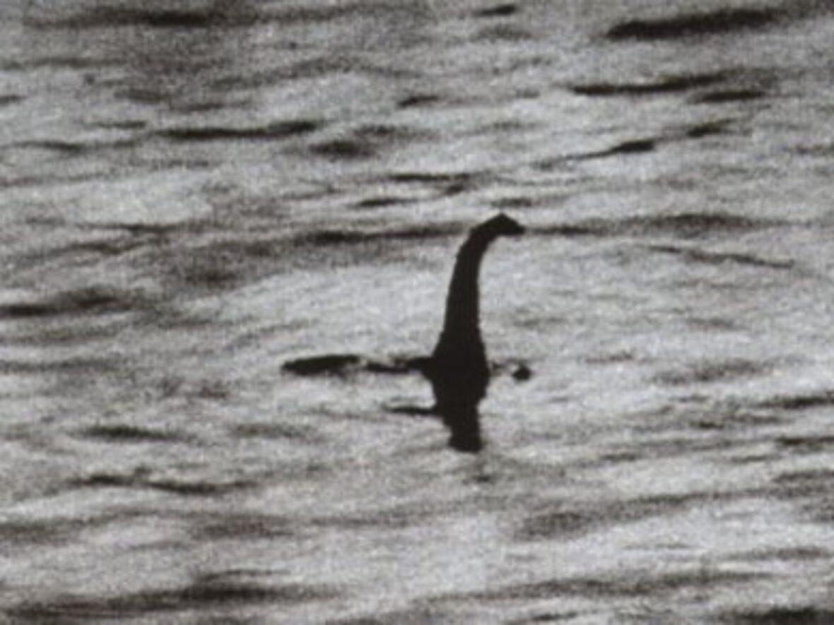 Loch Ness Monster Nessis Google Commons