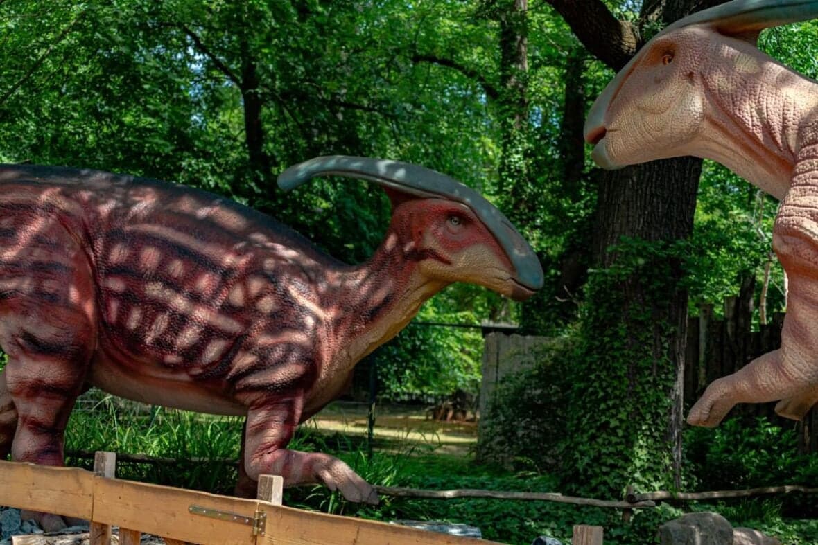 Parasaurolophus