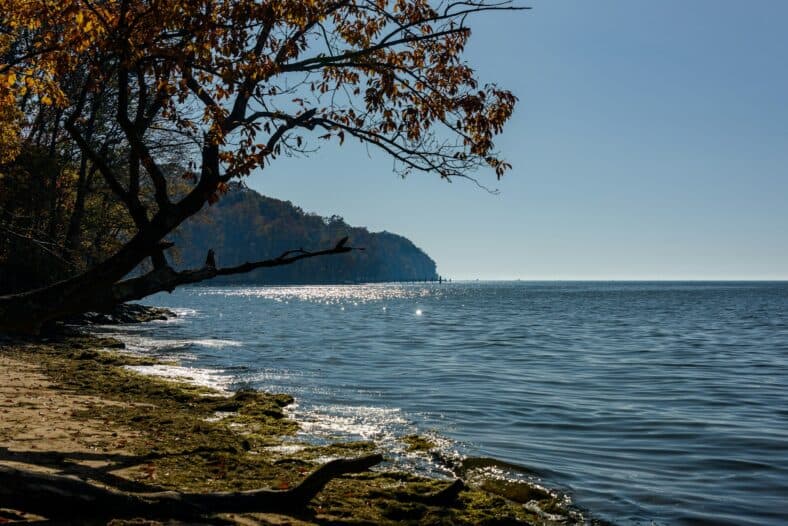 chesapeake bay