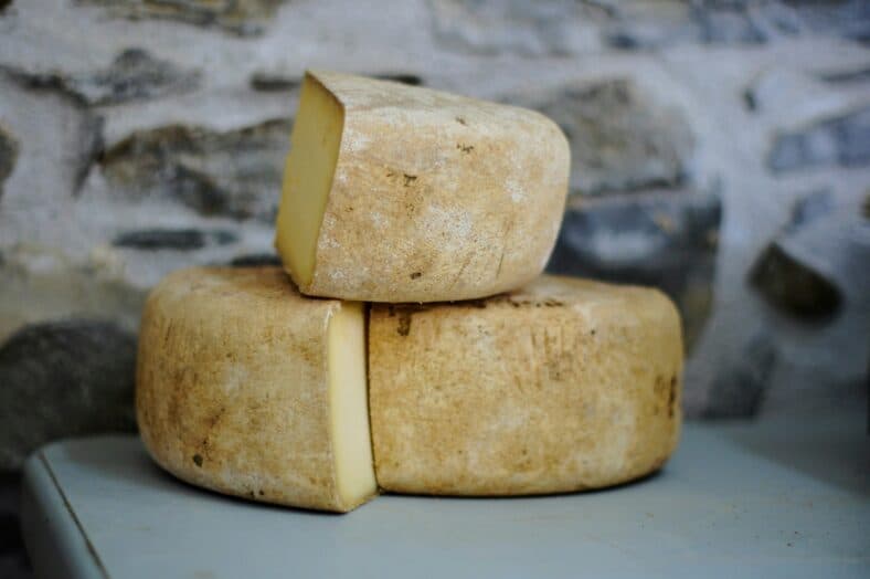 partial wheels of cheese