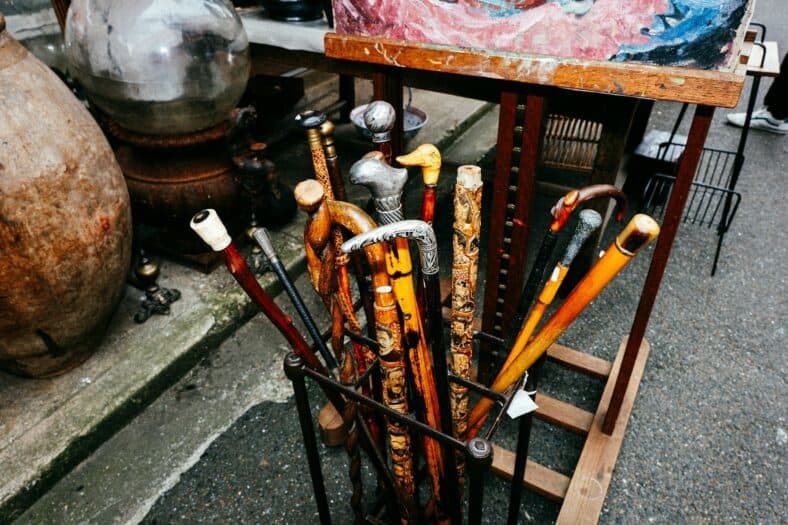 walking sticks and canes