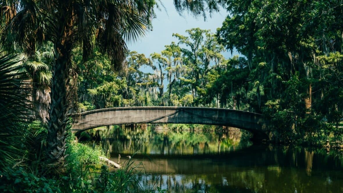 bridge new orleans