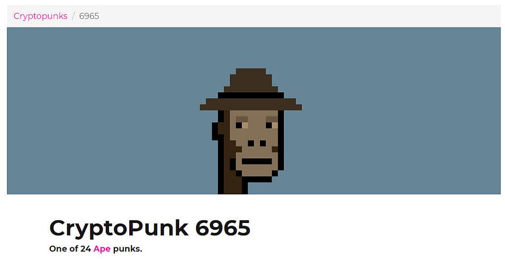 (Screen Grab: LavaLabs.com)