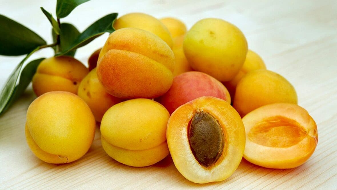 apricots on table