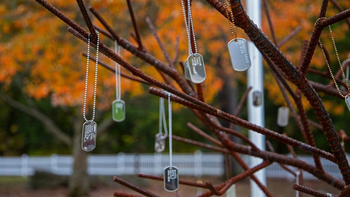 hanging dog tags