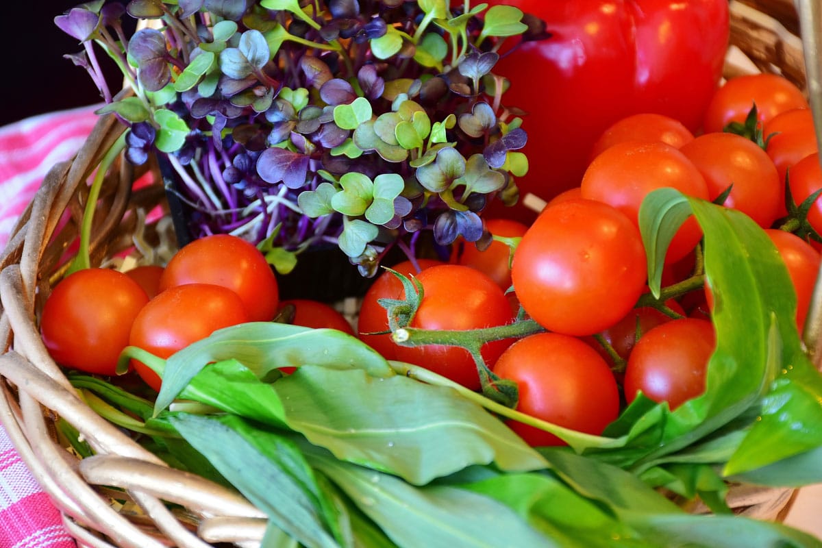 Vegetable Container Gadening