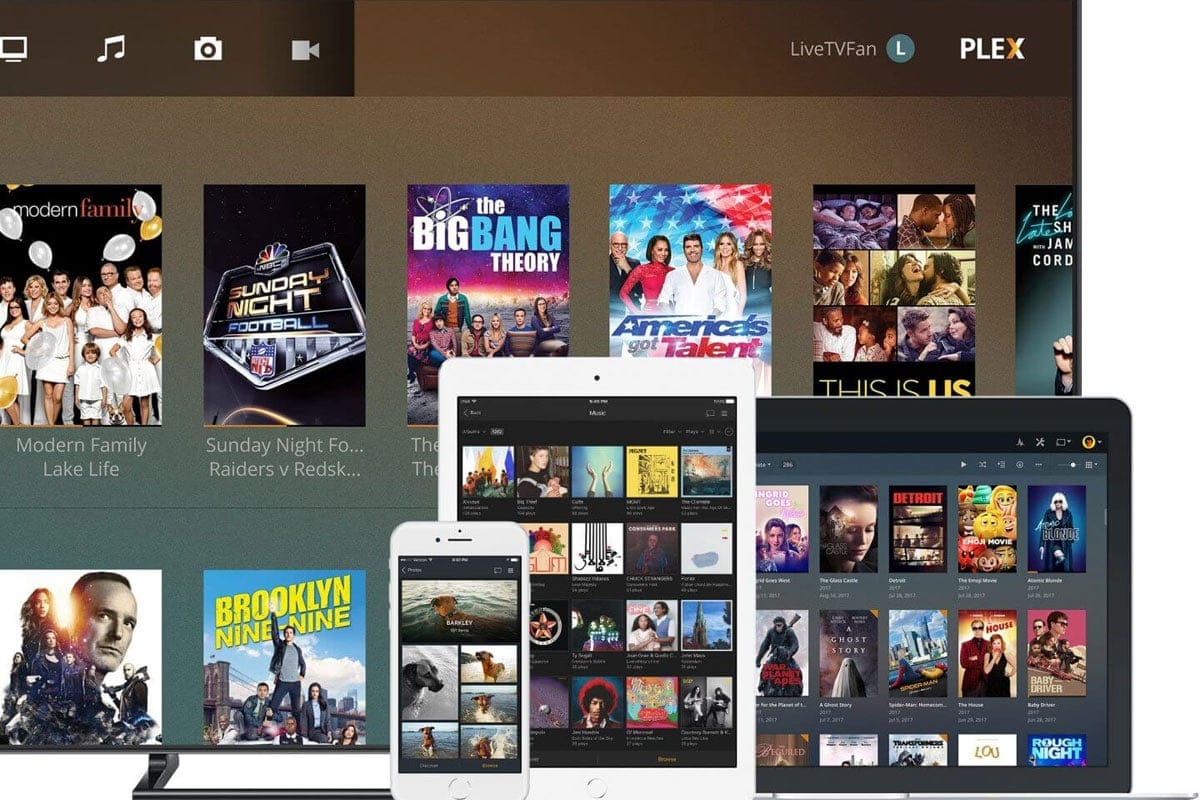 How to use Plex