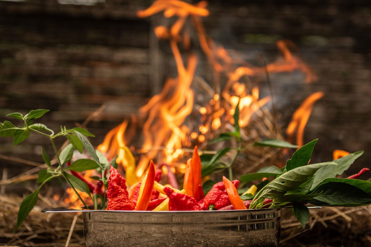 Worlds Hottest Foods
