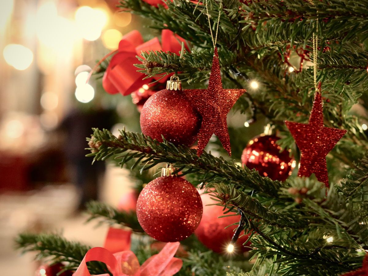 Most Expensive Christmas Trees, Unsplash