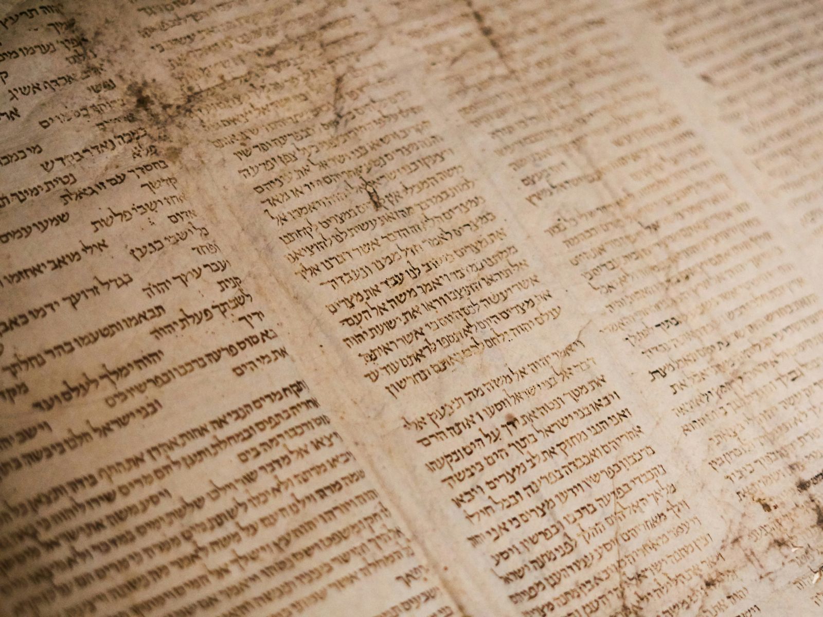 rarest historical documents, Unsplash