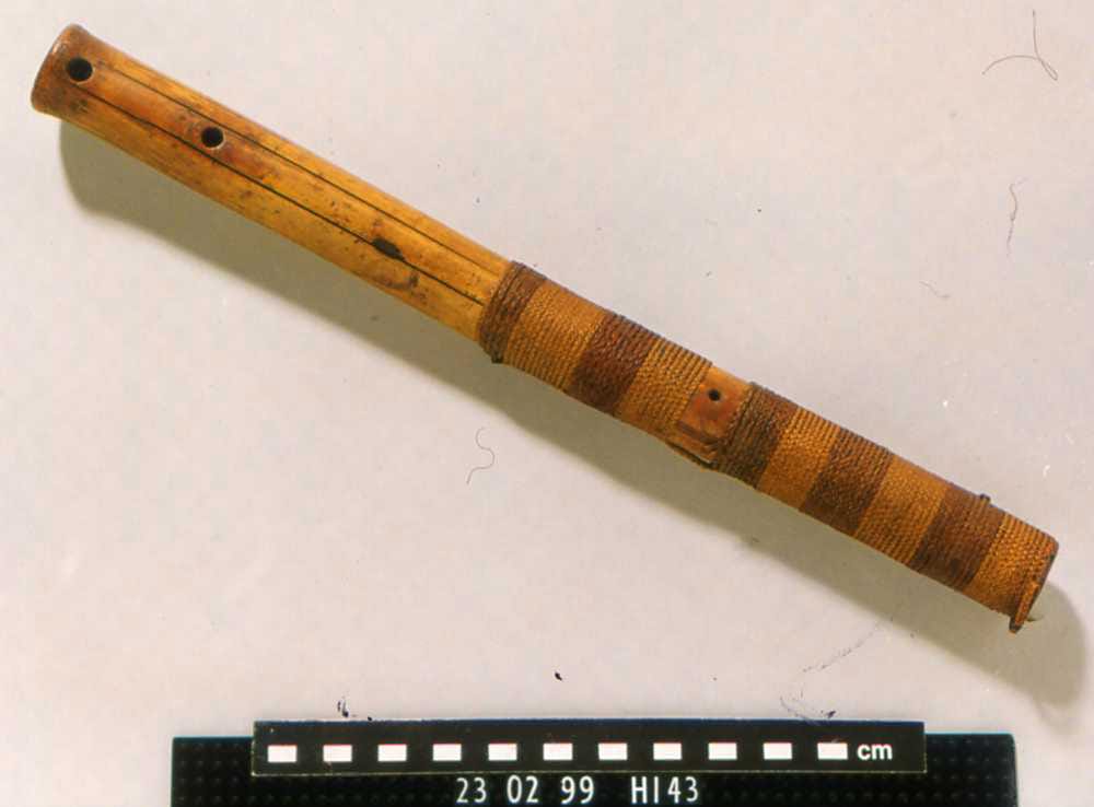 rare musical instruments