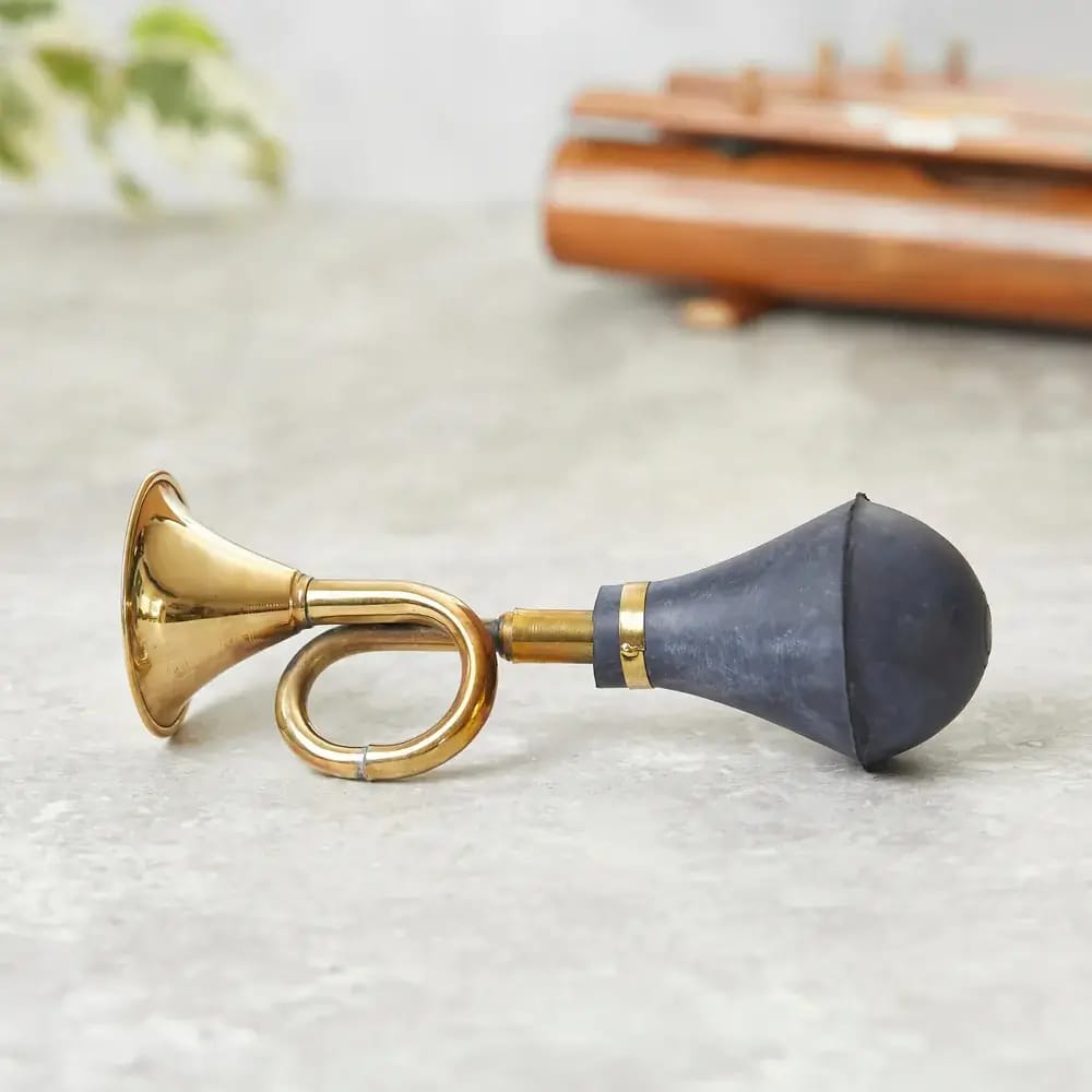 rare musical instruments