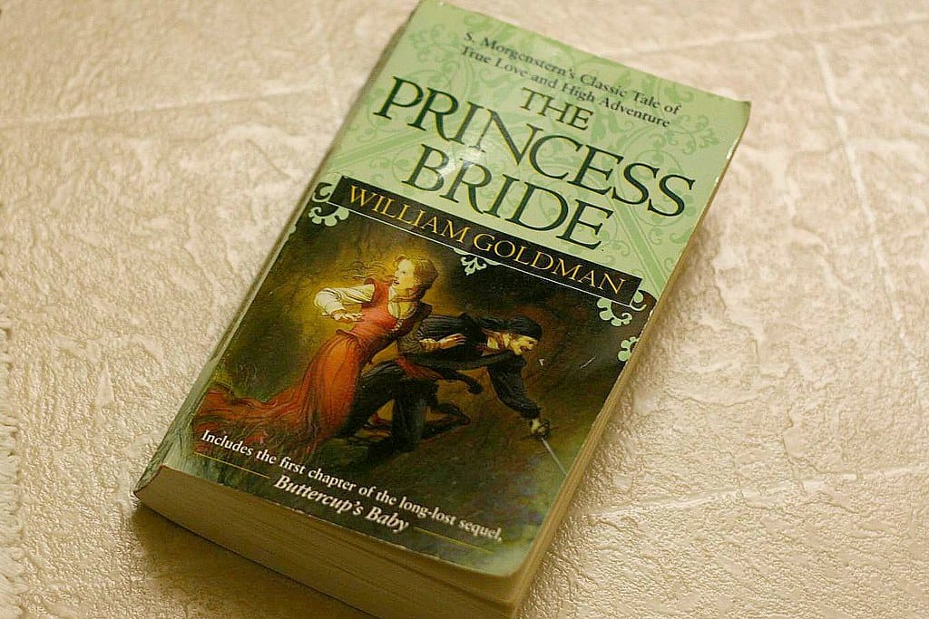 Tne Princess Bride by William Goldman, one of the best fantasy novels ever. 