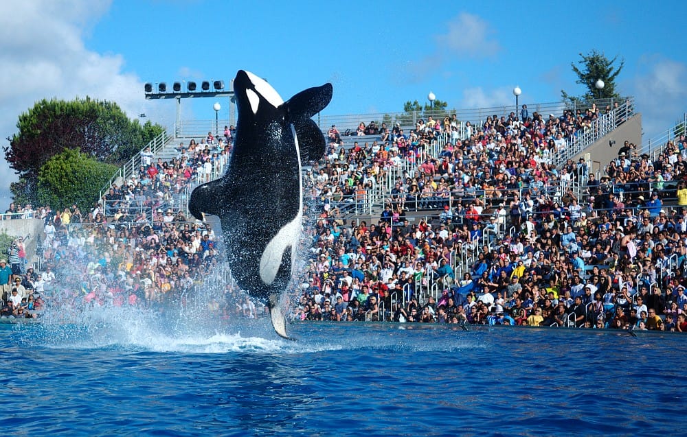 best amusement parks in america