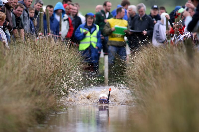 Bog Snorkeling, Wiki Media