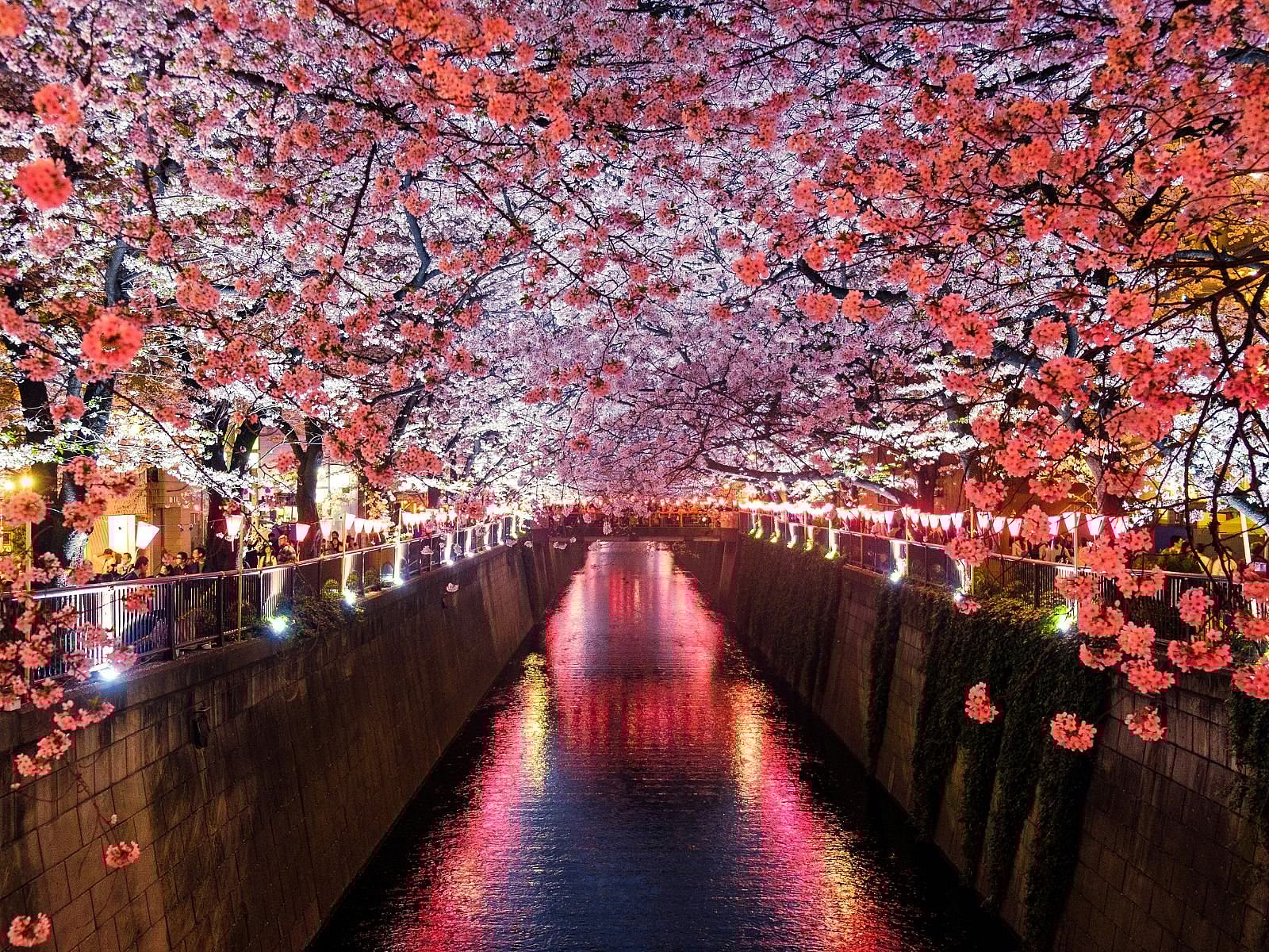 Japan, Unsplash