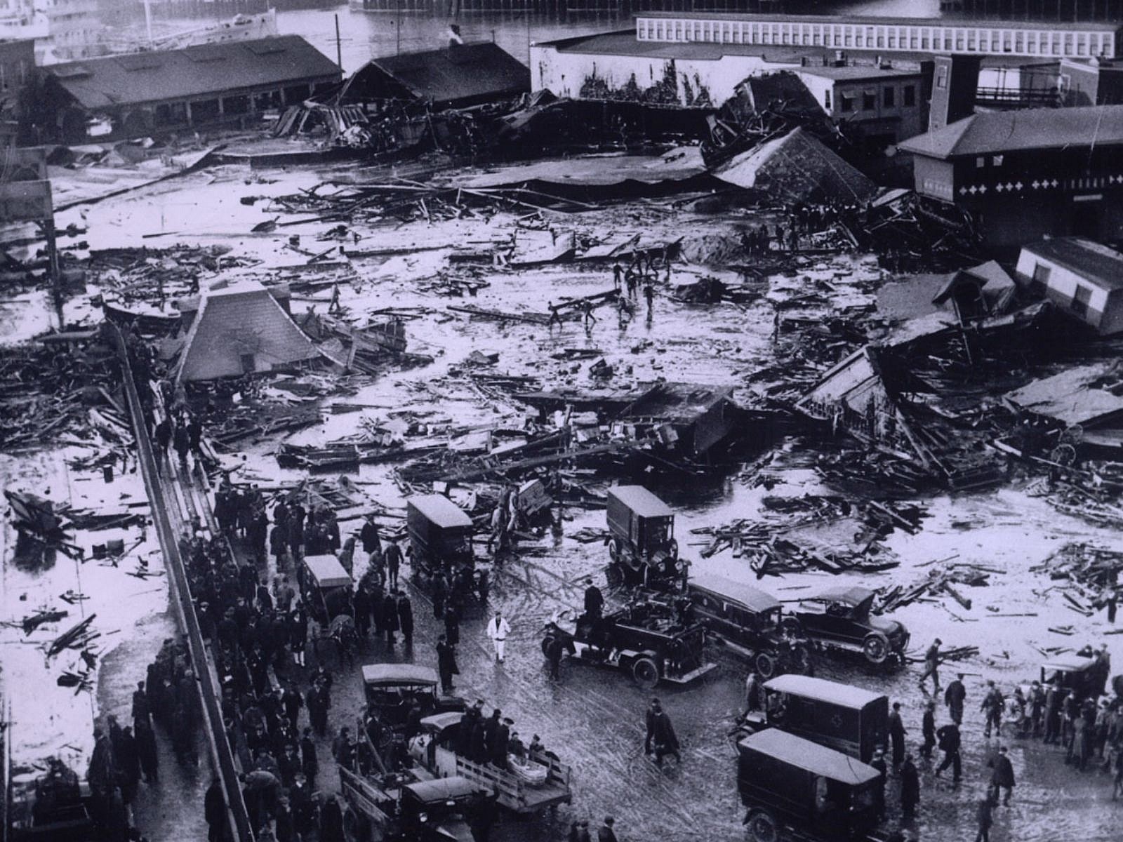 Molasses Flood, Wiki Commons