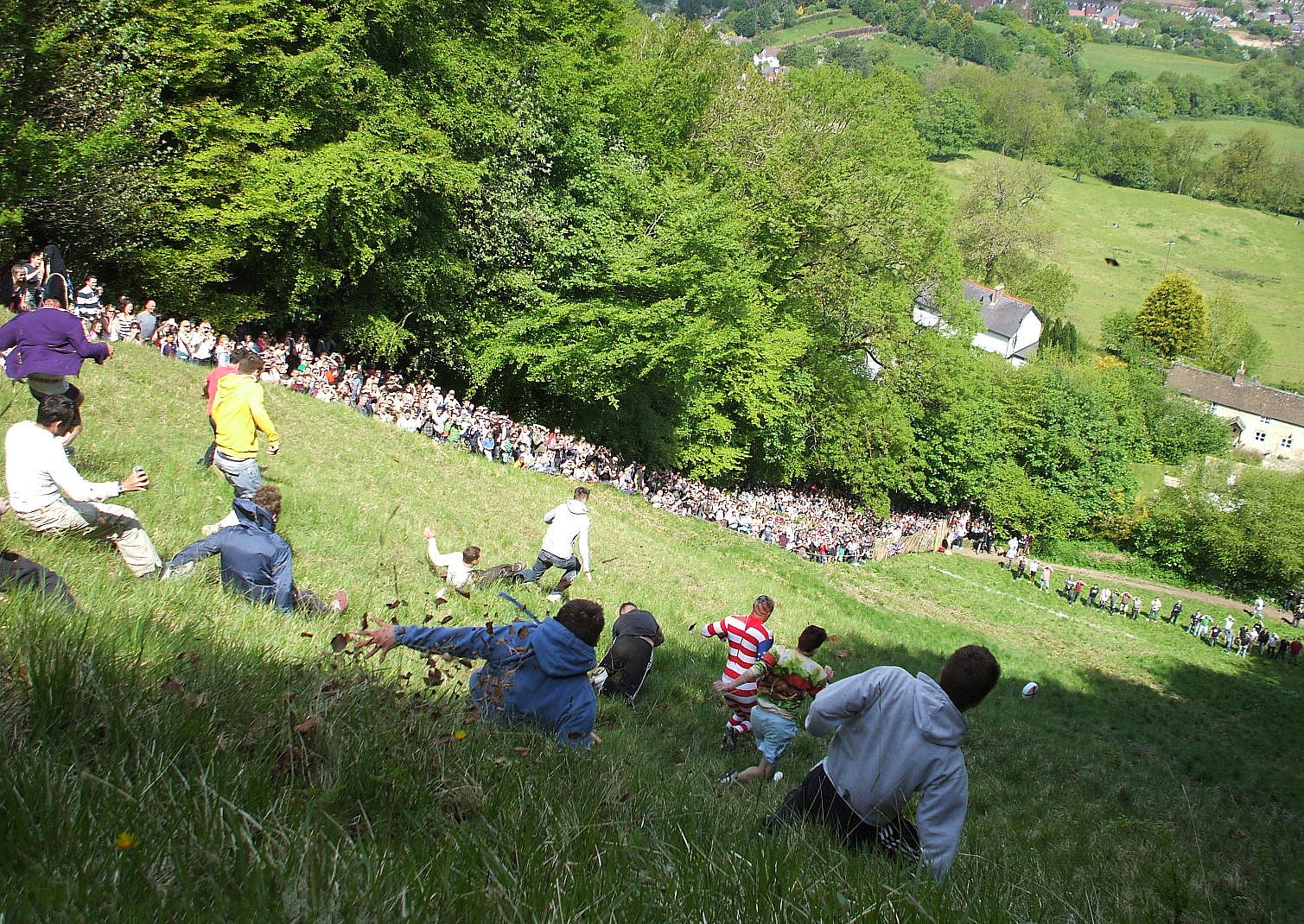 Cheese Rolling, Wiki Media