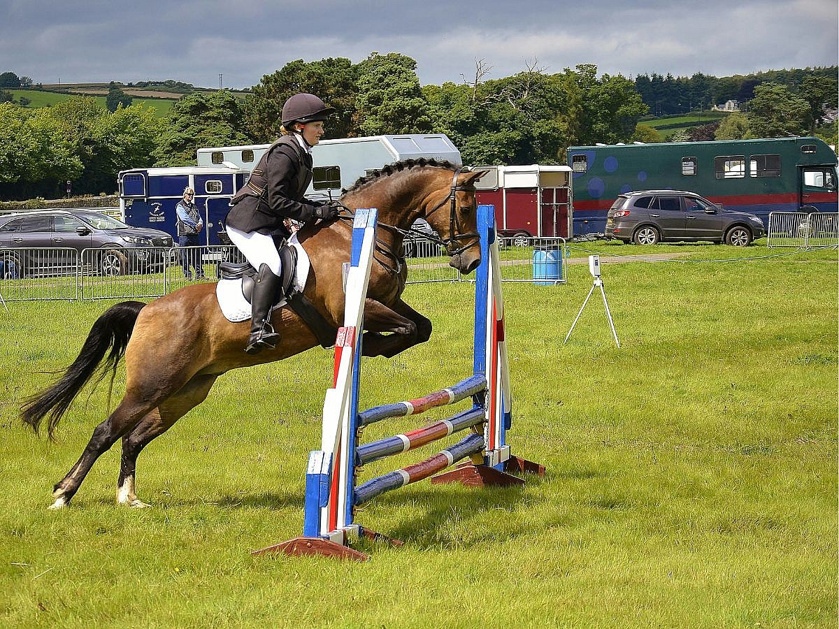 Equestrian Expensive Sport, Unsplash
