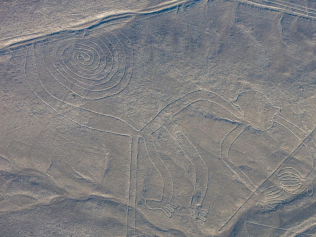 The Nazca Lines Wiki Commons