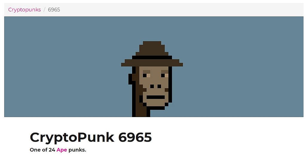 (Screen Grab: LavaLabs.com)