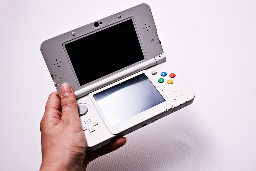 lost media DS video game