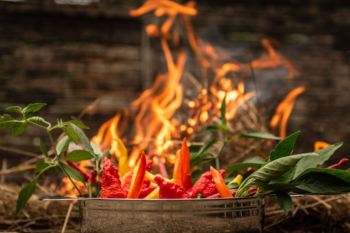 Worlds Hottest Foods