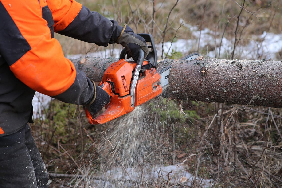 Best Mini Chainsaws