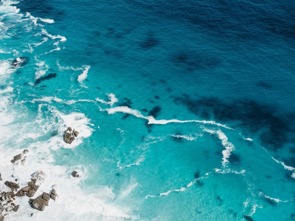 Weird Facts About the Ocean Unsplash
