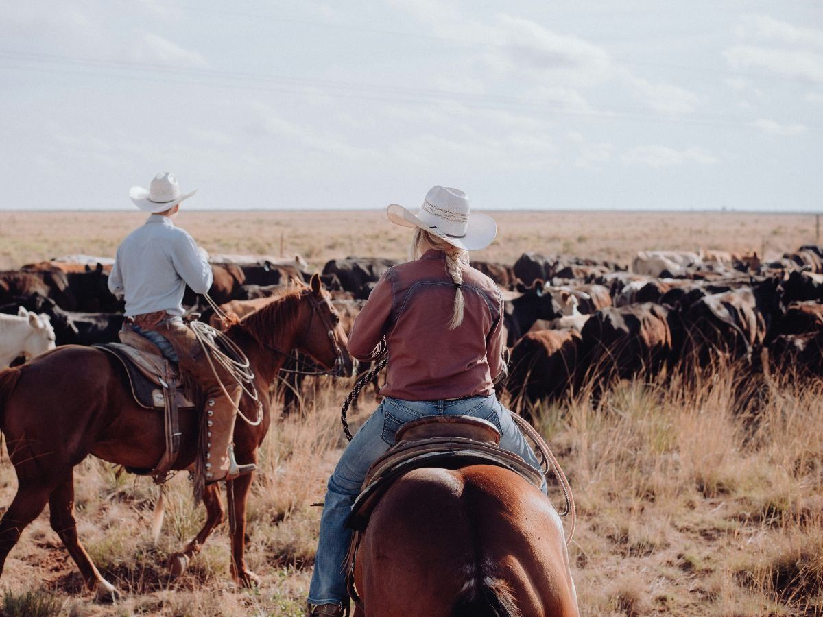 Myths About the Wild West Unsplash