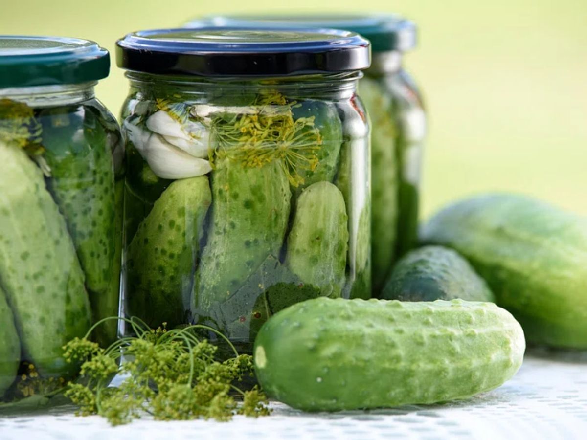 food preservation methods from history