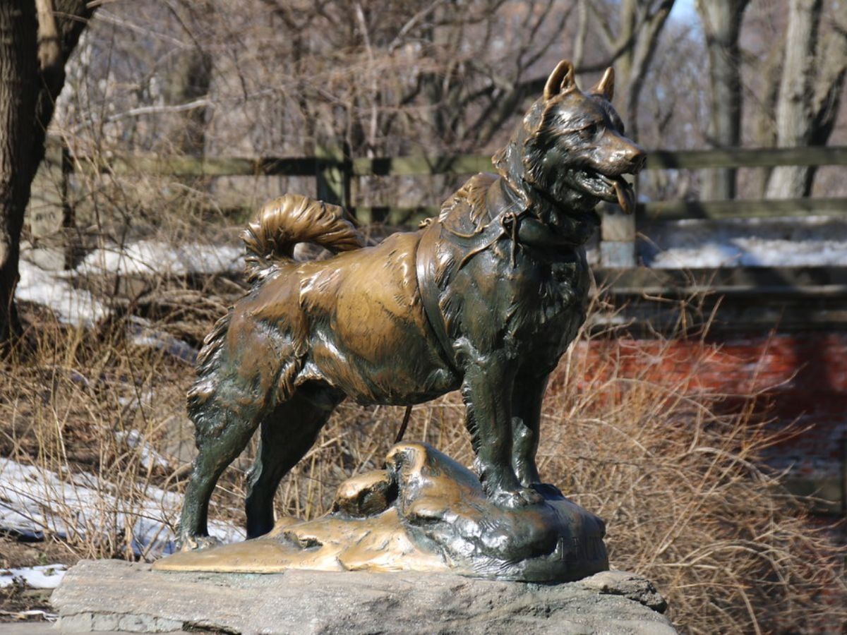 animals that changed history