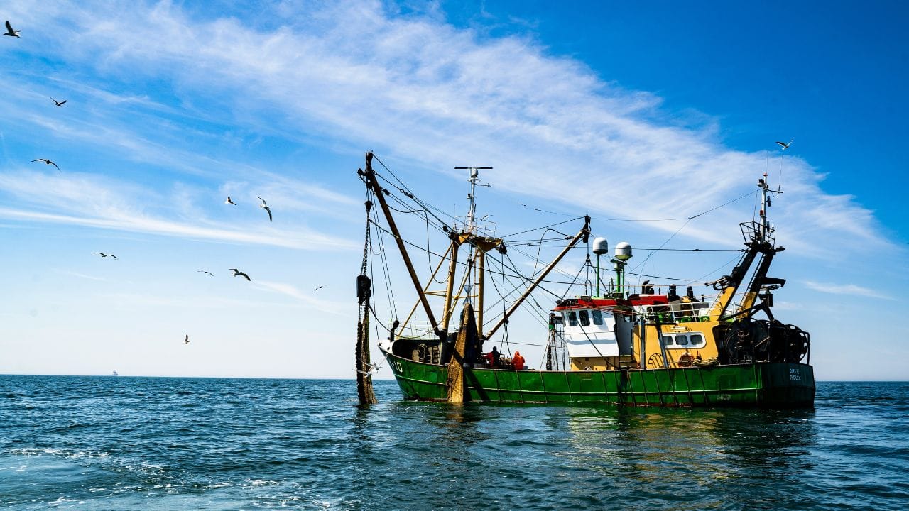 Most Dangerous Jobs in History Unsplash