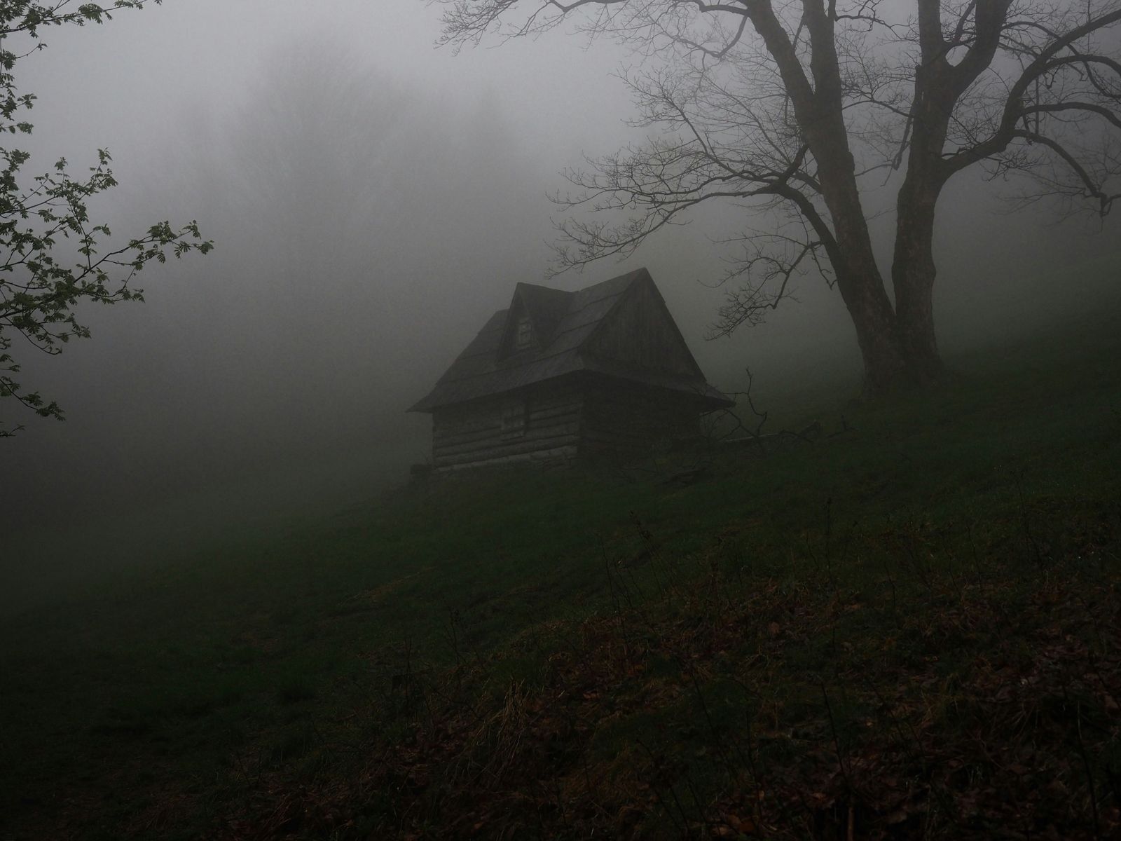 Vintage Horror Movie Posters, Unsplash