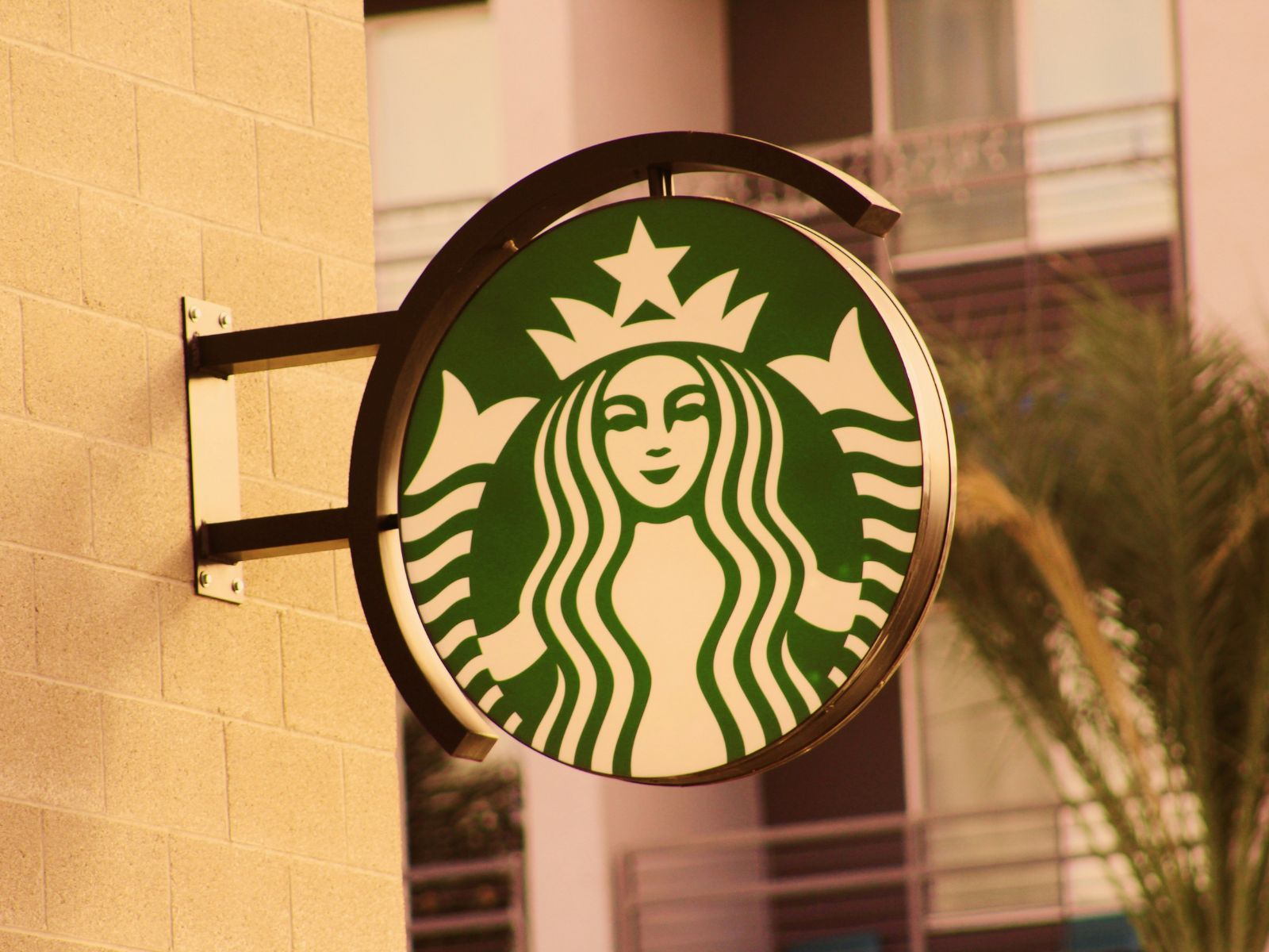 Most Expensive Starbucks Drinks, Unsplash