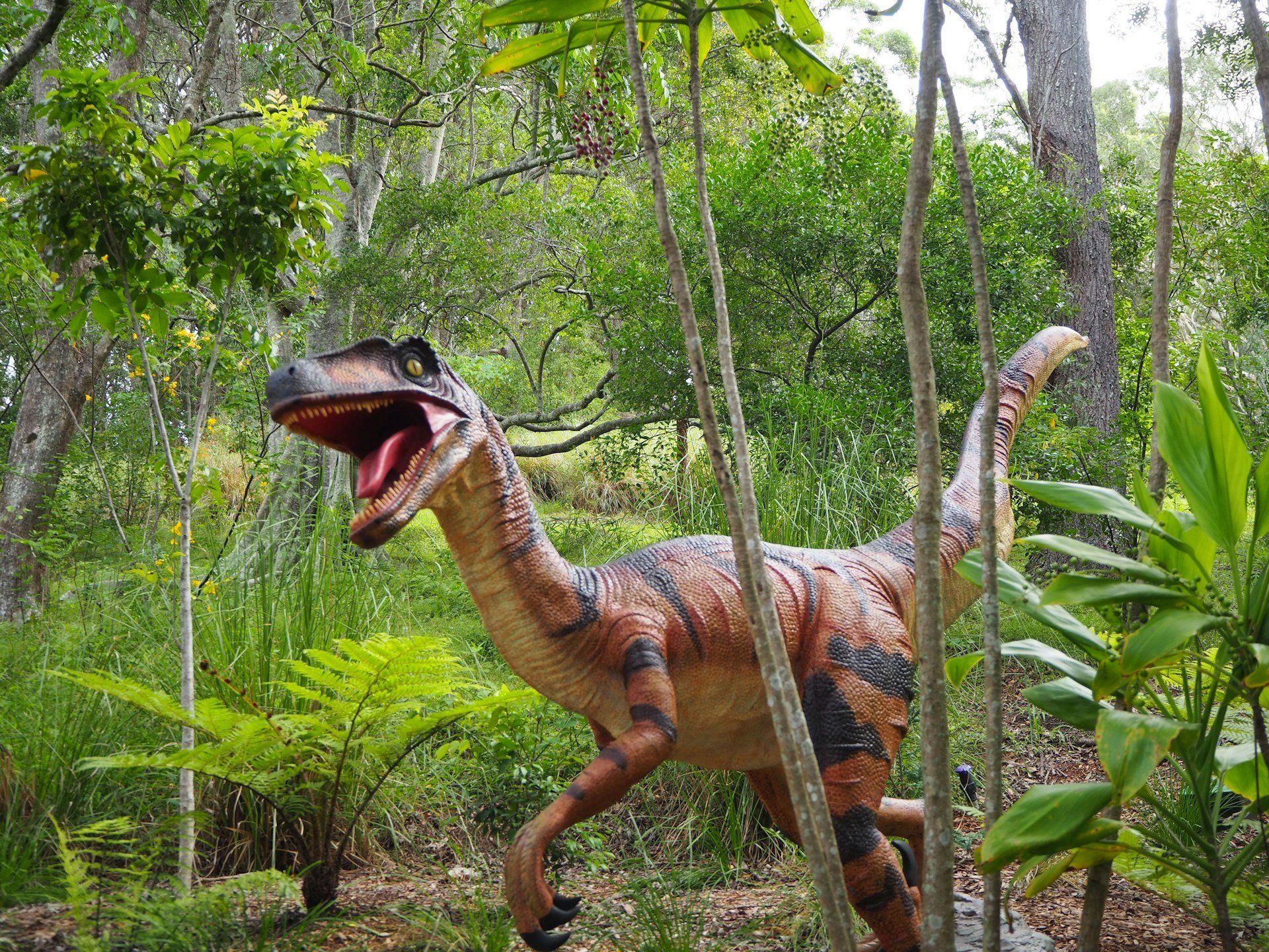 weird dinosaur facts