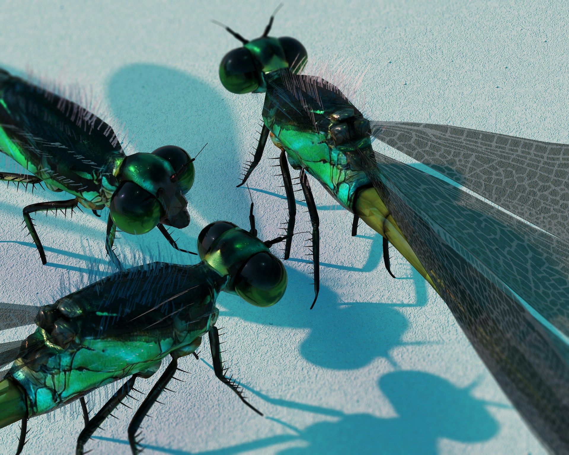 weird facts about dragonflies