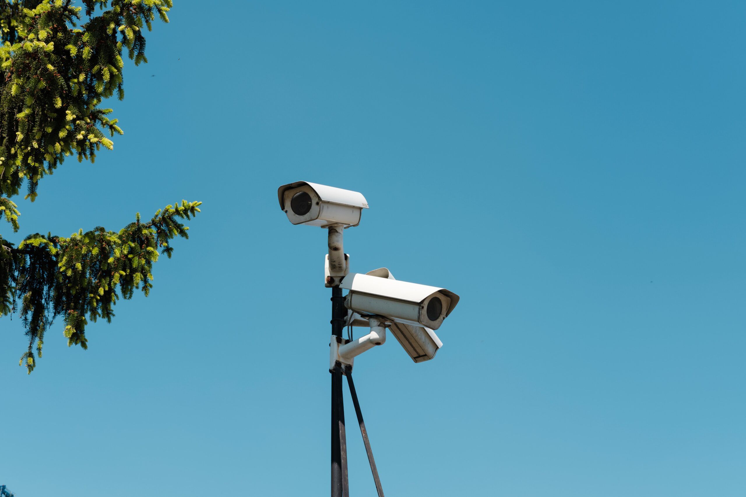 Why is the Ring camera system so popular?