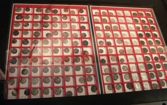 Buffalo Nickels
