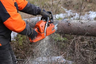 Best Mini Chainsaws