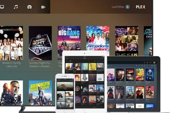 How to use Plex