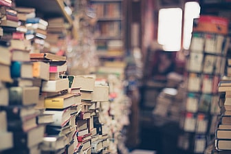 What is a nerd? What is a geek?