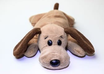 25 Most Expensive Beanie Babies in 2023