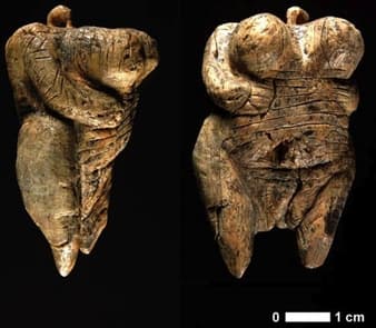 Venus of Hohle Fels, Wiki Media